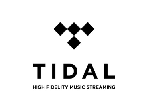  0000 tidal logo